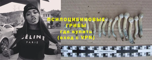 стаф Аркадак