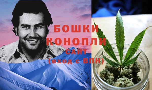 стаф Аркадак