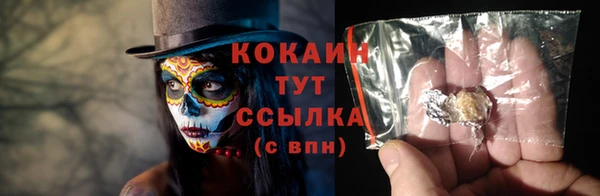 стаф Аркадак
