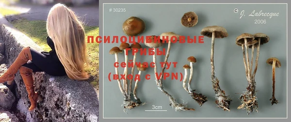 амф Арсеньев