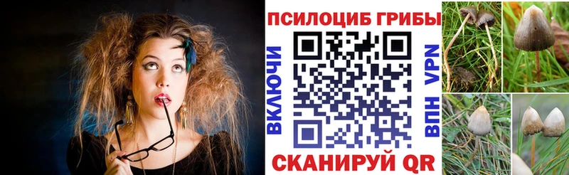 Галлюциногенные грибы мицелий наркотики Безенчук